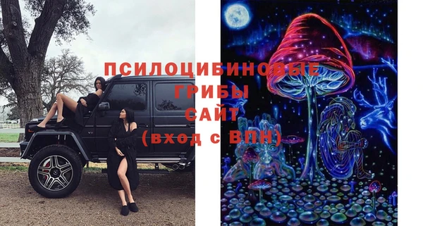 mdpv Белокуриха