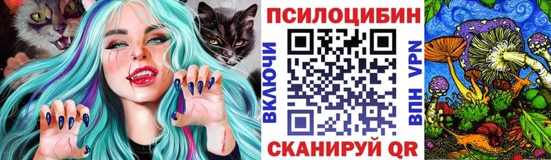Галлюциногенные грибы Psilocybe  Голицыно 